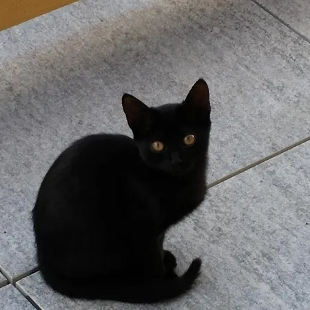 Piccolo Parco Limone Piemonte