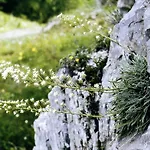 Отель Piccolo Parco 3*