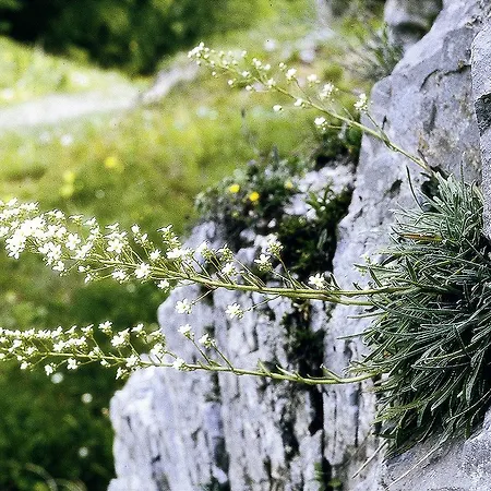 Szálloda Piccolo Parco 3*